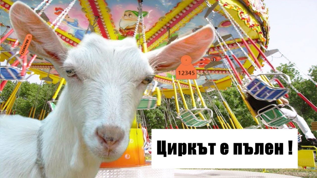 Два месеца няма умряло животно от стадото на Ани и Тодор!