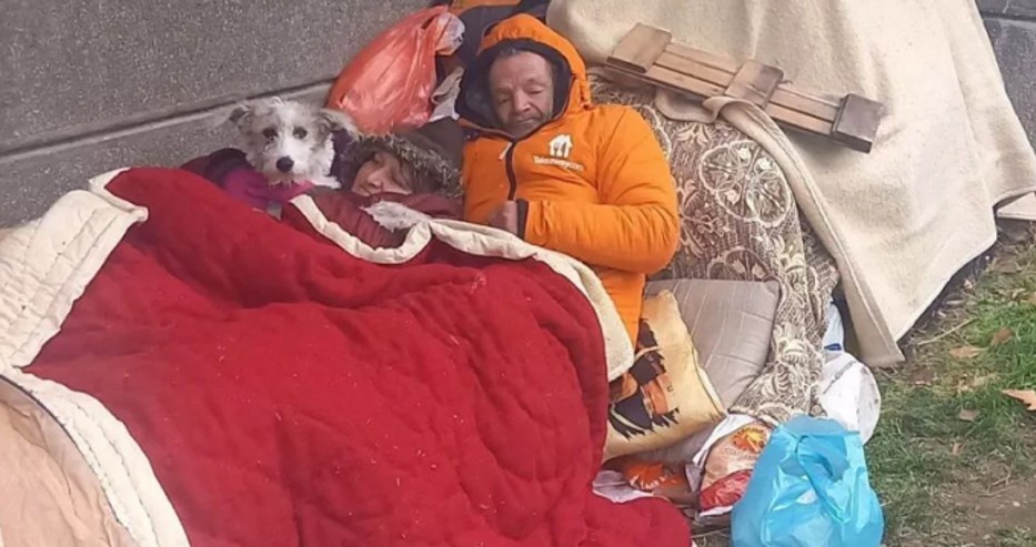Намериха дом за бездомното семейство и кучето им! Браво, българи!
