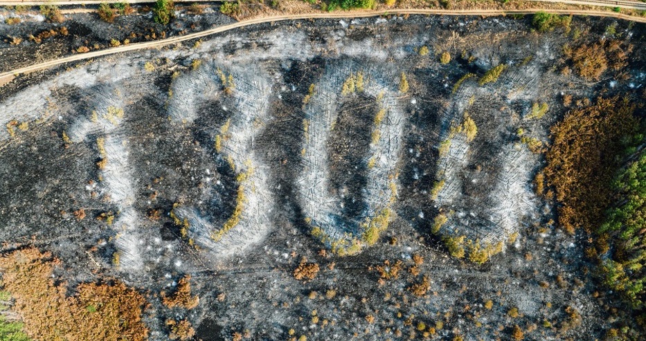 Унищожиха още един от символите на Родината, дрон засне изгорялата гора с надпис “1300 години България”